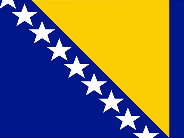 Bośnia i Hercegowina flag