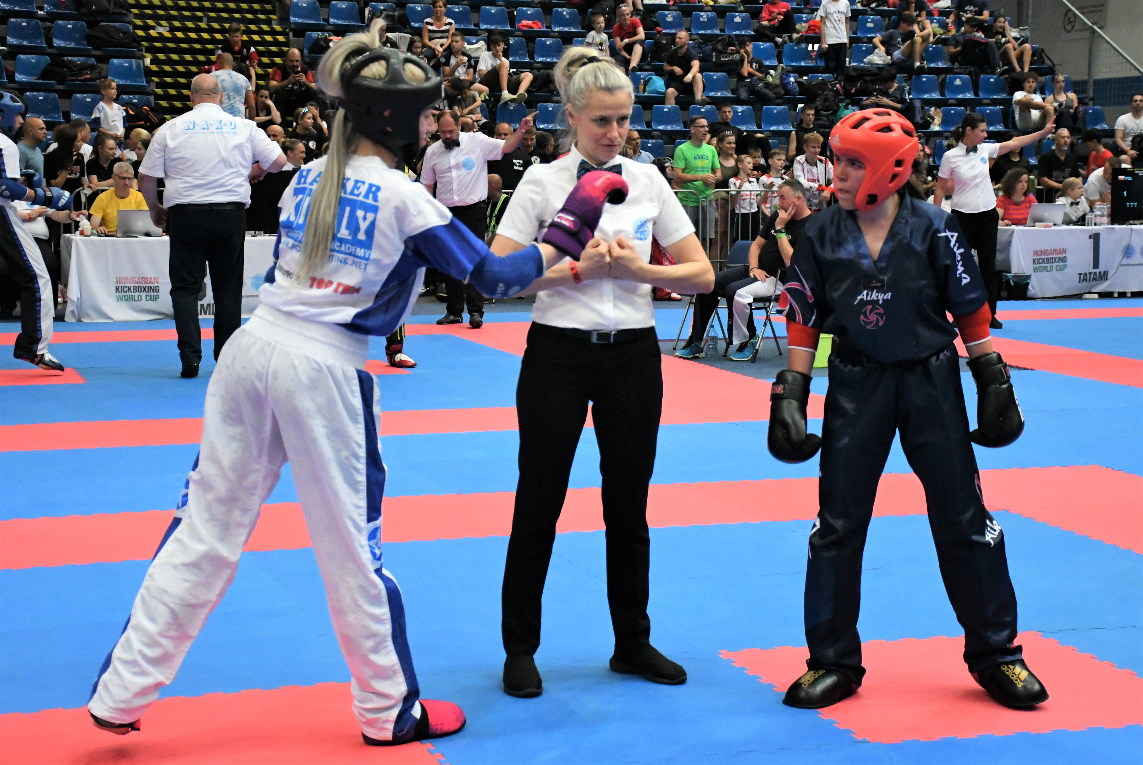 Kickboxing tournament starts in Myslenice Arena on Friday, 30th June