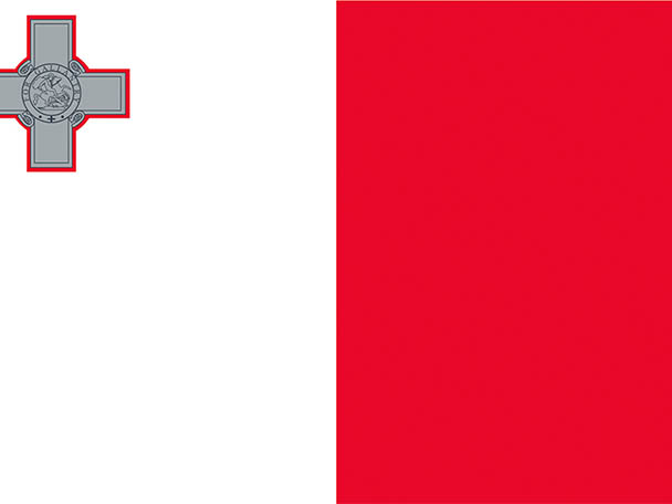 flag-MLT